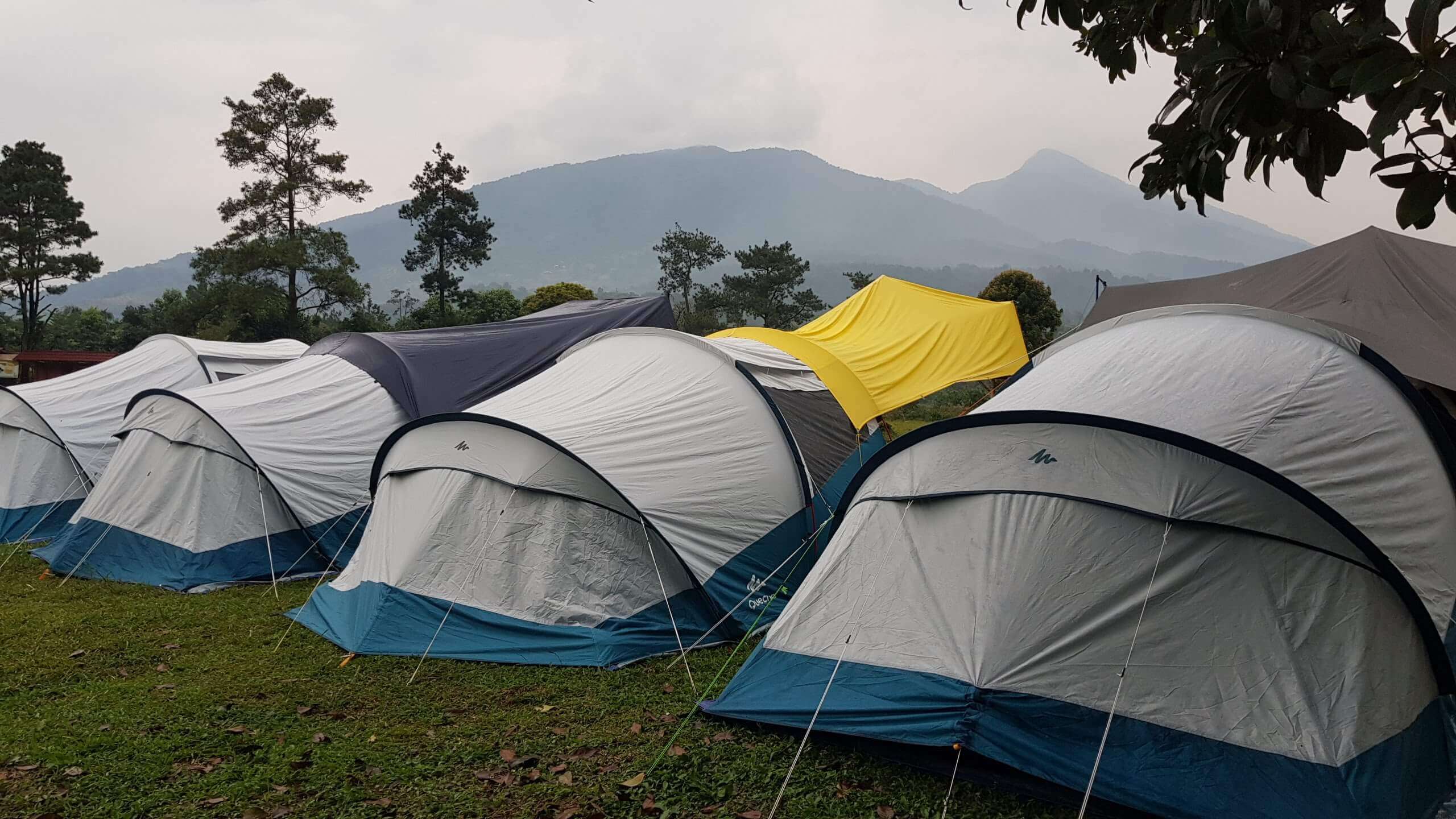 Camping